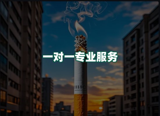 核心优势